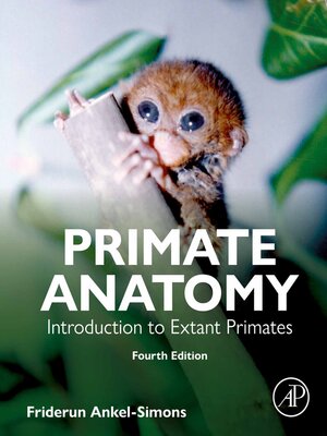 cover image of Primate Anatomy